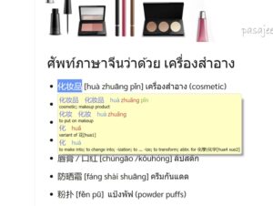 พจนานุกรมจีน-อังกฤษ ออนไลน์ฟรี