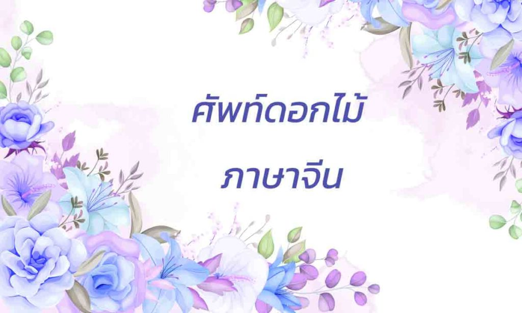 ศัพท์ภาษาจีน ดอกไม้