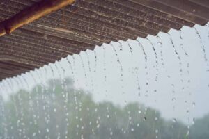 ภาพฝนตก