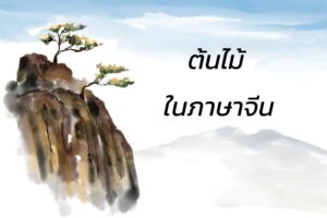 ศัพท์ภาษาจีน ต้นไม้