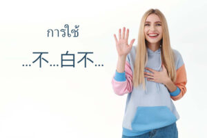 การใช้ ...不...白不...