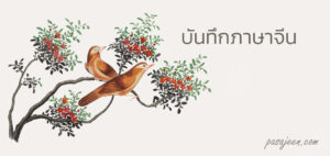บันทึกภาษาจีน
